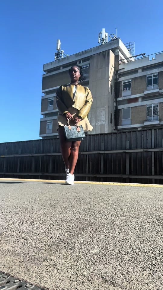 Post 8 by harmonidiaries on TikTok (video)
