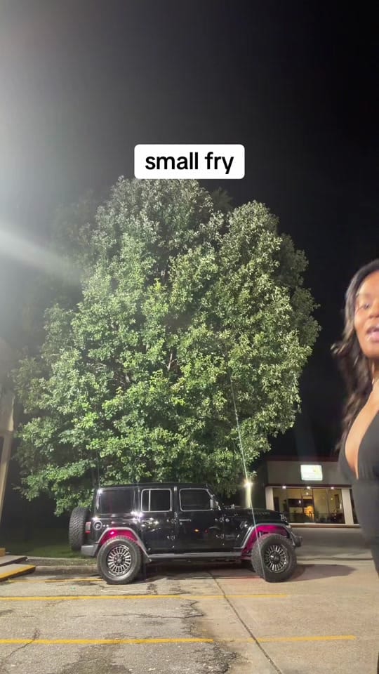 Post 4 by Gabby Simone 👩🏾 on TikTok (video)