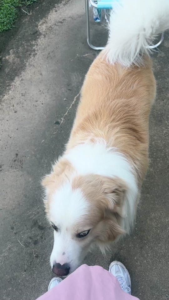 Post 10 by paris.greif🪽 on TikTok (video)