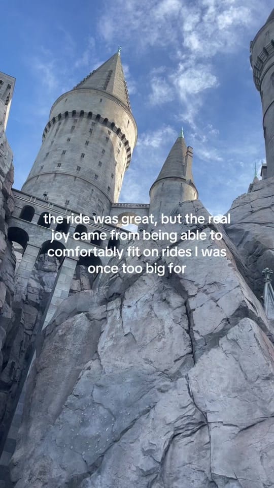Post 1 by Michelle on TikTok (video)