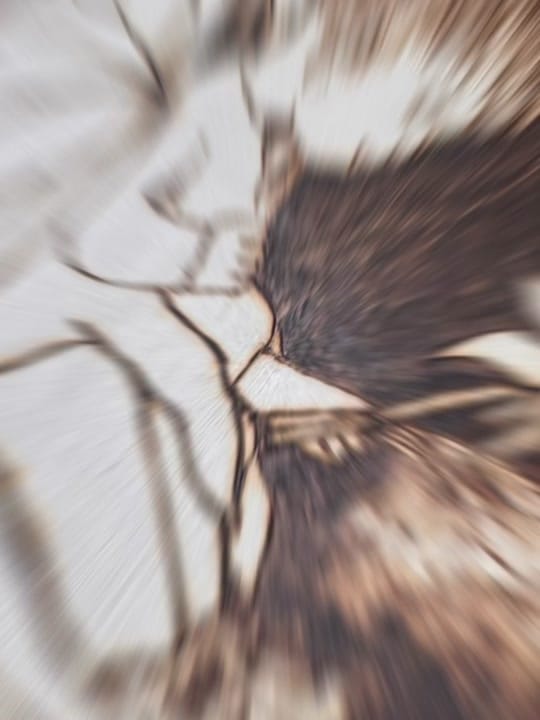 Post 5 by Gemini Pyrography on TikTok (video)