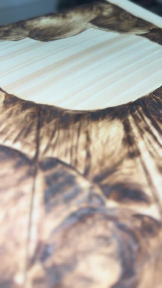 Post 1 by Gemini Pyrography on TikTok (video)