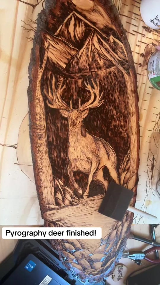 Post 10 by Gemini Pyrography on TikTok (video)
