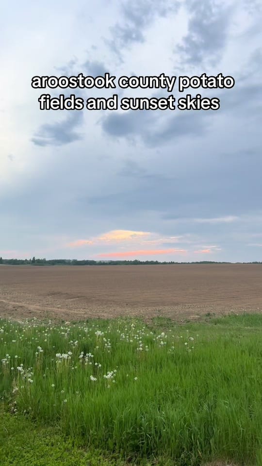 Post 6 by Maddi 💓| Maine Teacher Life🍎 on TikTok (video)