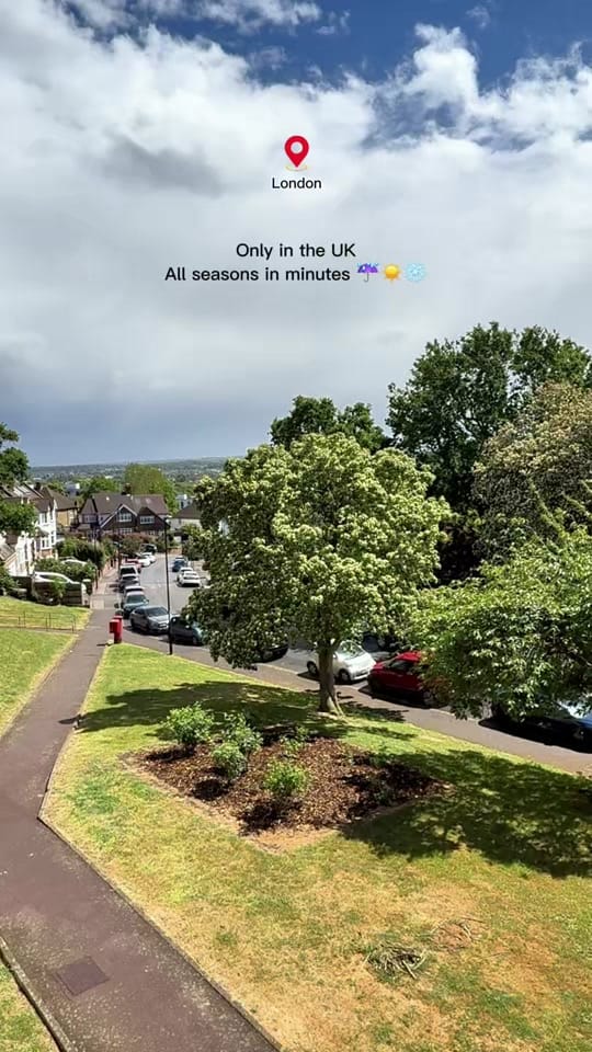 Post 9 by Heidy Tor 🌹 on TikTok (video)