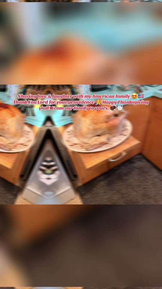 Post 4 by Mrs Americana on TikTok (video)