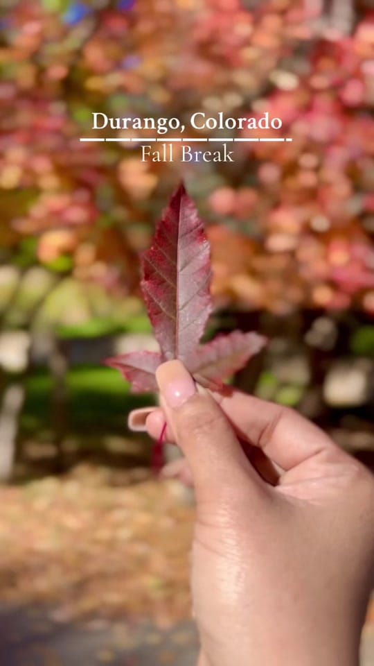 Post 9 by Teacher Mariegeil 🌸 on TikTok (video)