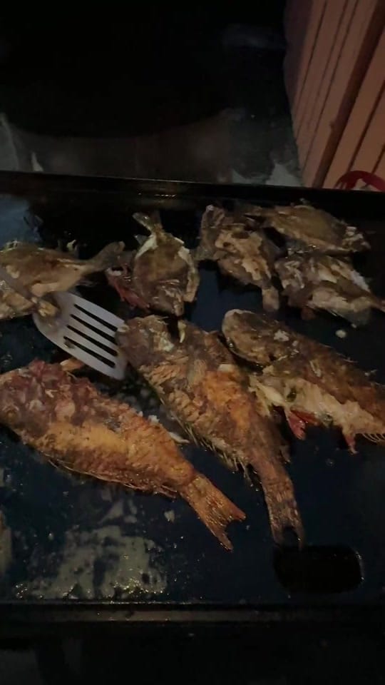 Post 8 by Fusion Fridayz on TikTok (video)