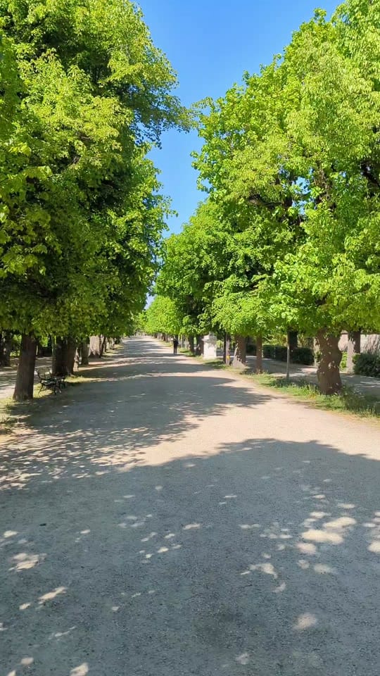 Post 8 by 𝗟𝗮𝘁𝗶𝗳 | Travel Explorer on TikTok (video)