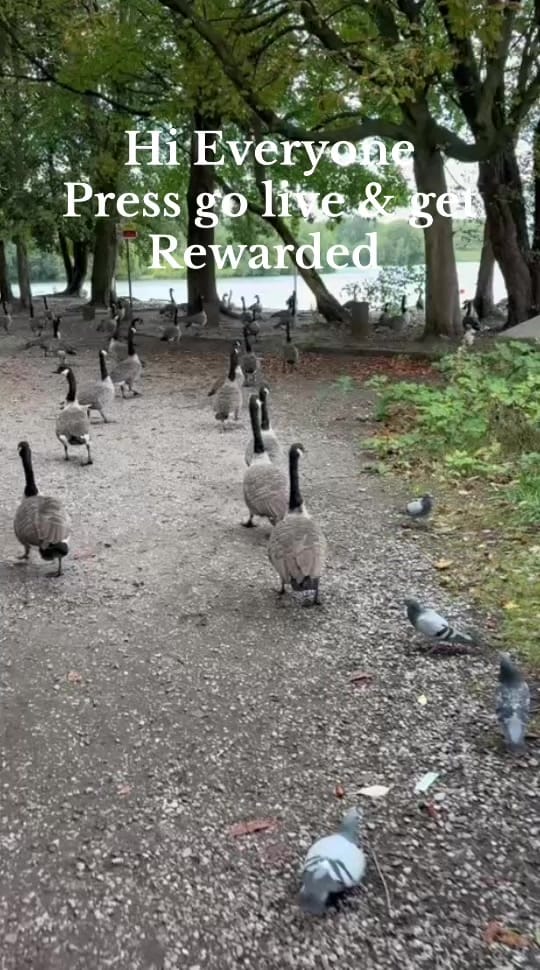 Post 1 by _bakingbyash on TikTok (video)