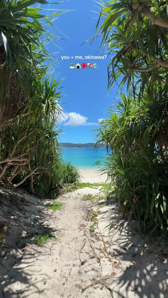 Post 9 by lian 🌺 on TikTok (video)