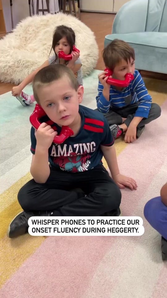 Post 5 by Sharyn Kish on TikTok (video)