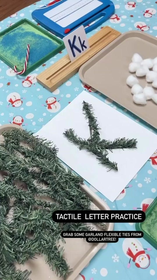 Post 3 by Sharyn Kish on TikTok (video)