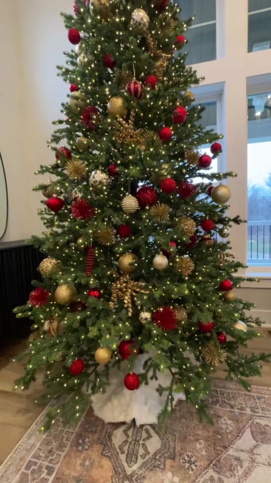 Post 4 by Sharyn Kish on TikTok (video)