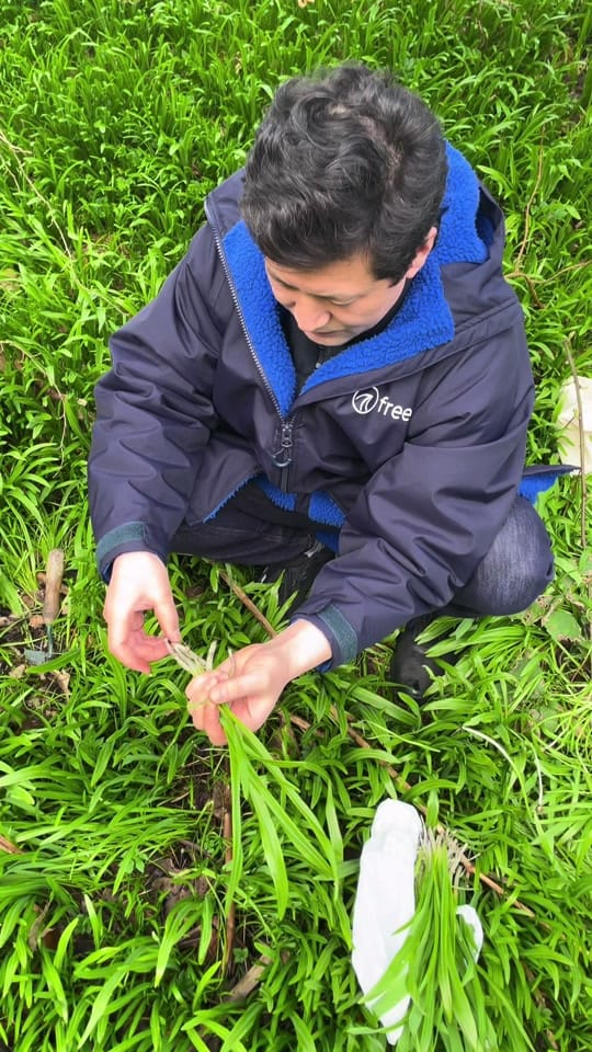 Post 6 by Min Family 🇨🇳🏴󠁧󠁢󠁳󠁣󠁴󠁿 on TikTok (video)