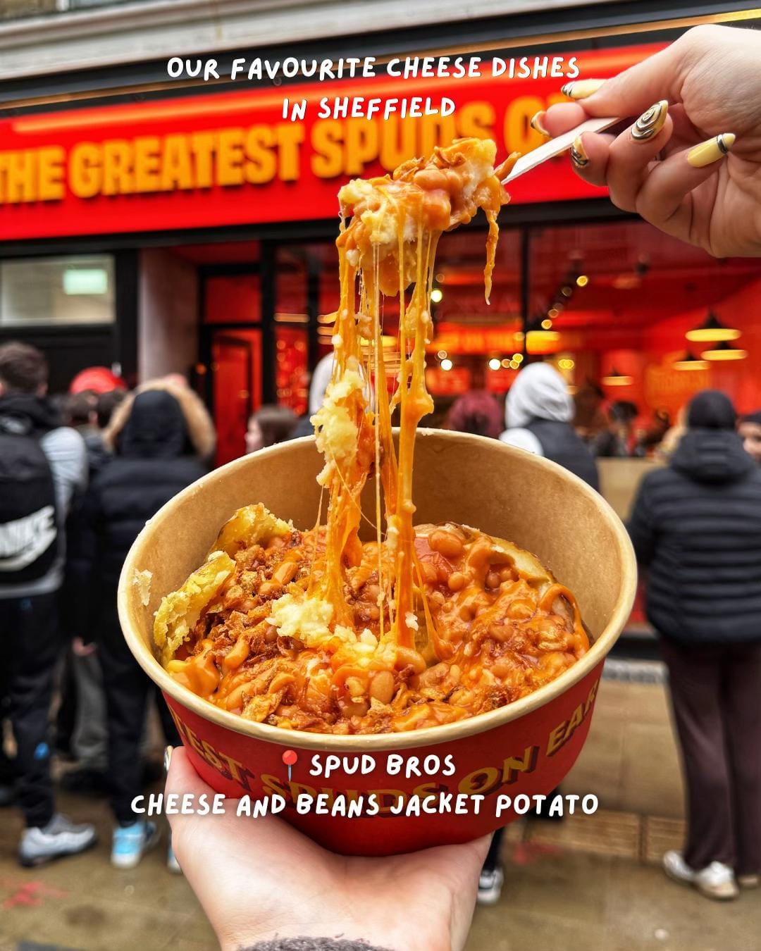 Post 8 by The Sheff on TikTok (video)