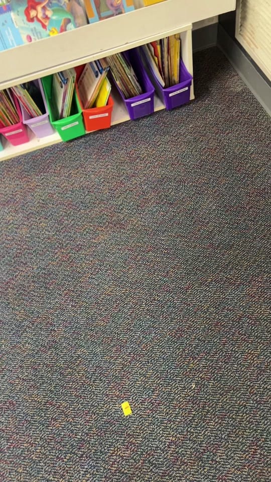 Post 5 by Bridget on TikTok (video)