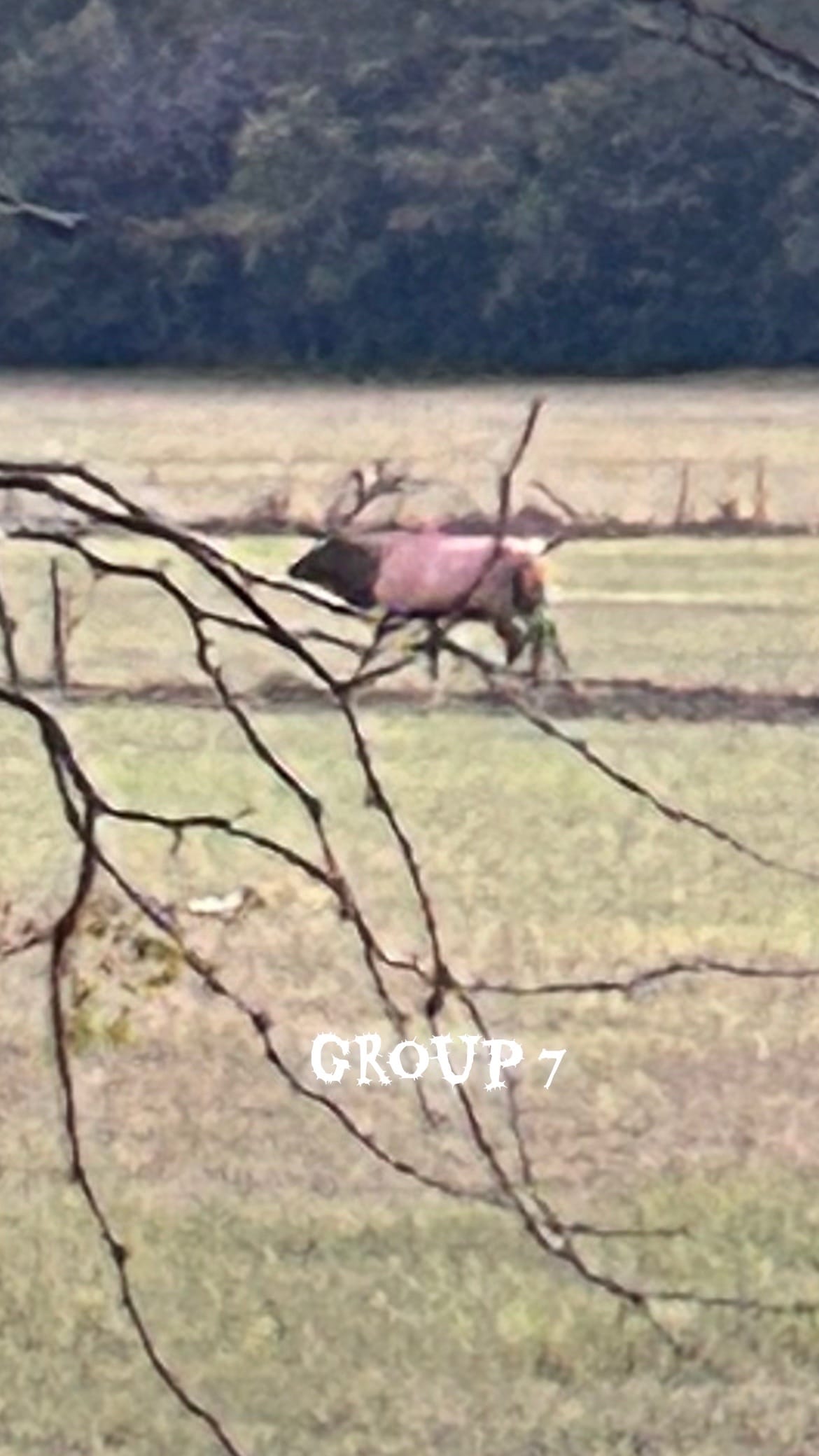 Post 10 by Bridget on TikTok (video)