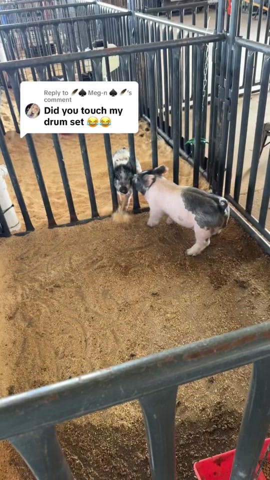 Post 10 by MrAgTeacher on TikTok (video)