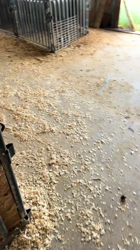 Post 7 by MrAgTeacher on TikTok (video)