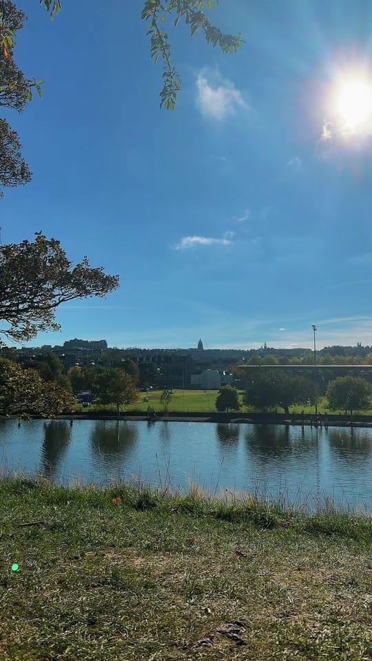 Post 2 by Plate Expectations - Ailidh F on TikTok (video)