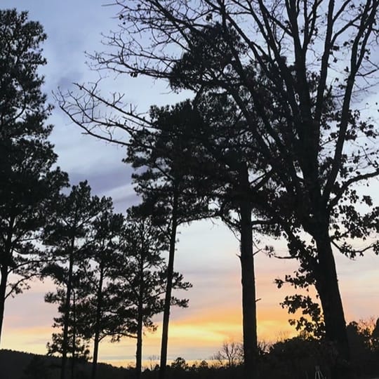Post 8 by kendall carpenter on TikTok (video)