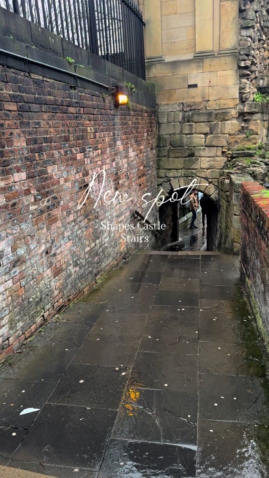 Post 7 by Nimbupxni 🍋 on TikTok (video)