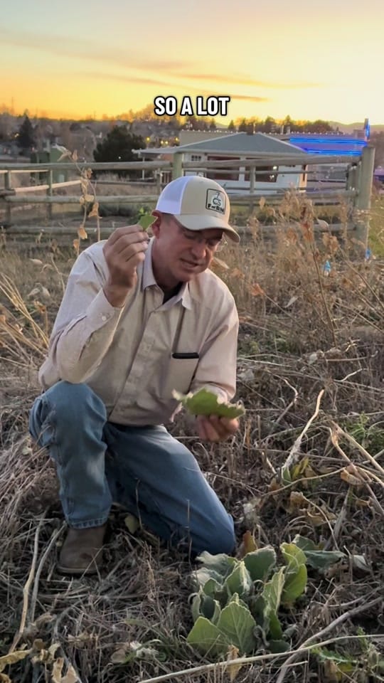 Post 8 by Jay Clapper | 7C’s Farm on TikTok (video)