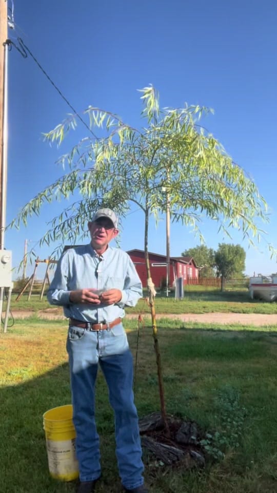 Post 10 by Jay Clapper | 7C’s Farm on TikTok (video)