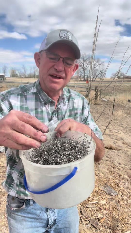 Post 2 by Jay Clapper | 7C’s Farm on TikTok (video)