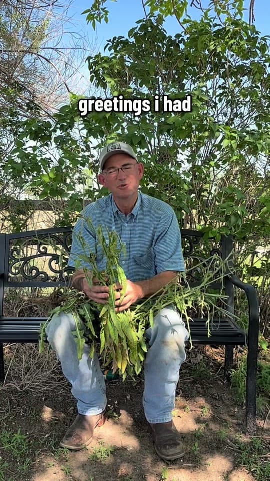 Post 1 by Jay Clapper | 7C’s Farm on TikTok (video)