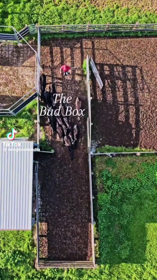 Post 7 by Jay Clapper | 7C’s Farm on TikTok (video)