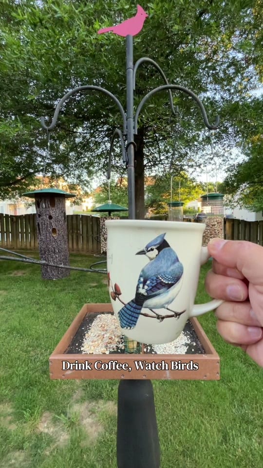 Post 8 by Mitch Carmack on TikTok (video)