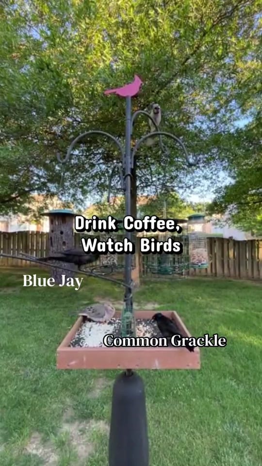 Post 10 by Mitch Carmack on TikTok (video)