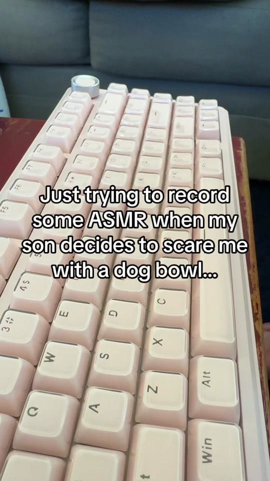 Post 6 by MrBearTeaches on TikTok (video)