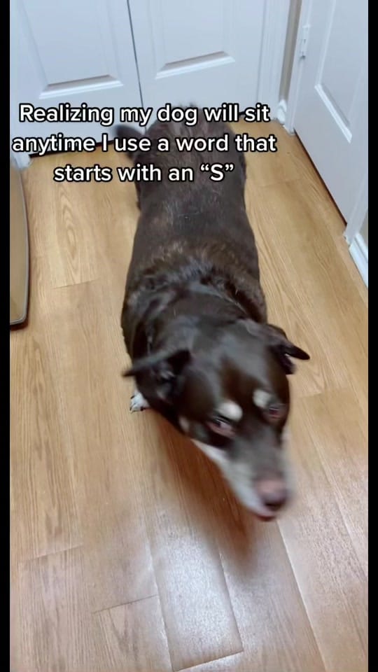 Post 5 by Sarah on TikTok (video)