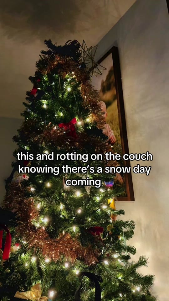 Post 8 by kaela on TikTok (video)