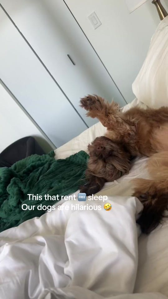 Post 10 by London Reign on TikTok (video)