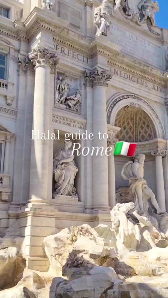Post 8 by halalefied on TikTok (video)