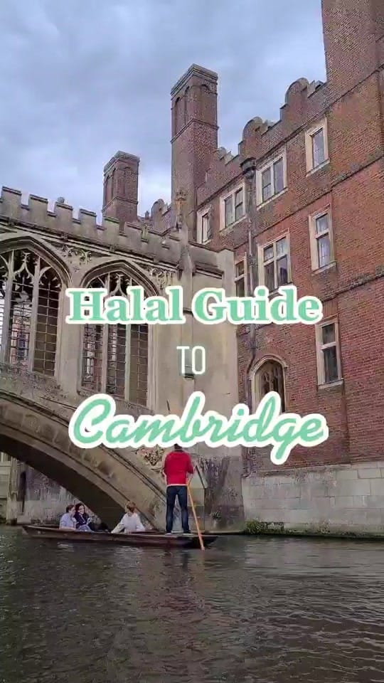 Post 9 by halalefied on TikTok (video)