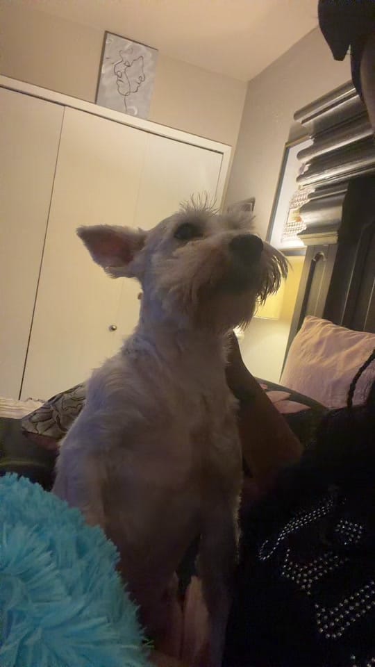 Post 2 by Angel 🩵✨ on TikTok (video)
