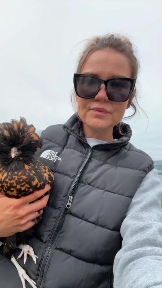 Post 5 by The new island girl on TikTok (video)