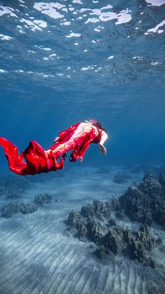 Post 1 by Tara Coyote 🔱 Kaua’i Mermaid on TikTok (video)