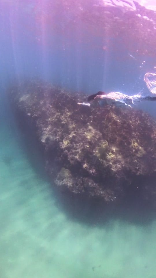 Post 5 by Tara Coyote 🔱 Kaua’i Mermaid on TikTok (video)