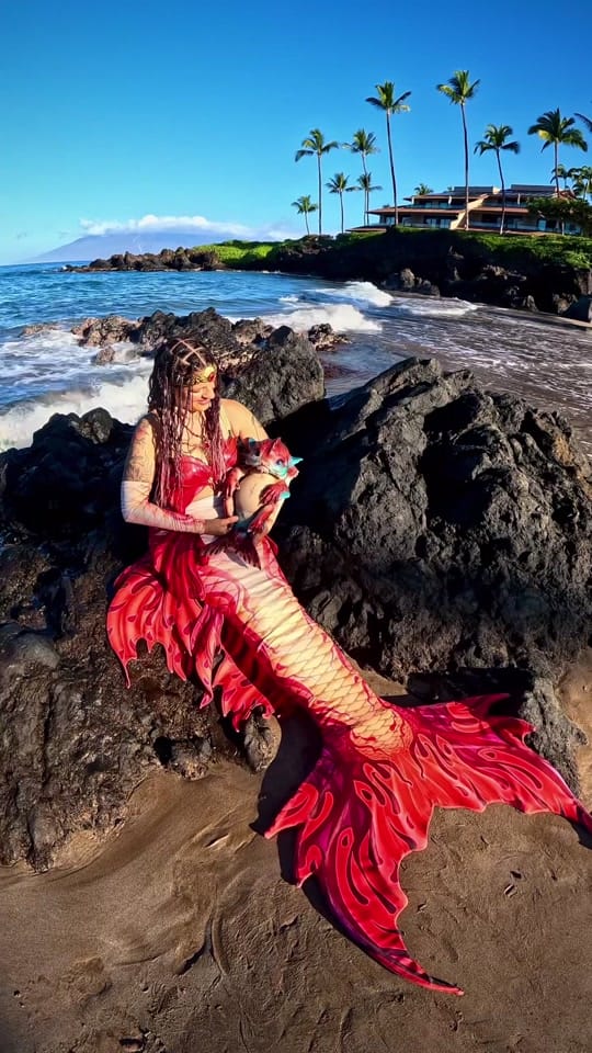 Post 7 by Tara Coyote 🔱 Kaua’i Mermaid on TikTok (video)