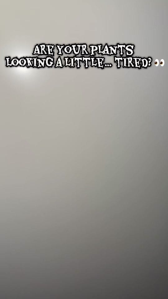 Post 3 by Oaklie Madysen on TikTok (video)