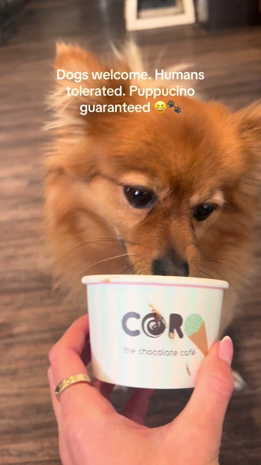 Post 10 by CoroChocolate on TikTok (video)