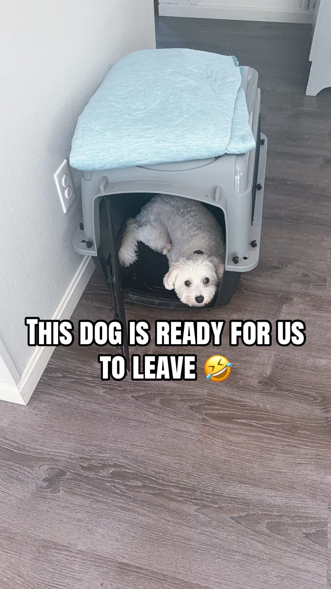Post 3 by Mrs. Pennington on TikTok (video)