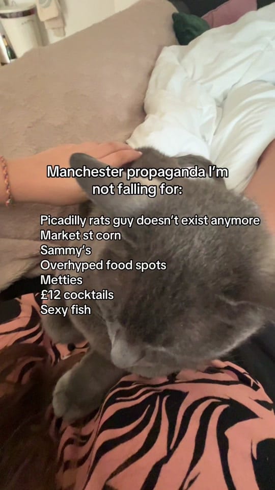 Post 6 by goodeatsmanc on TikTok (video)