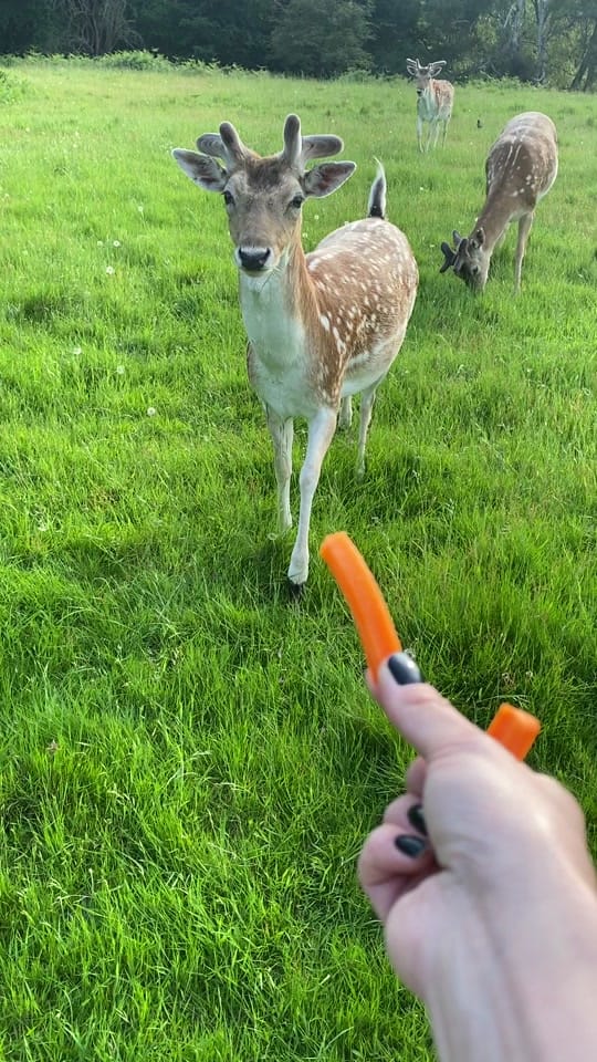 Post 10 by MariaReeentenko on TikTok (video)